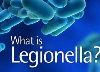 Remtene What Is Legionella