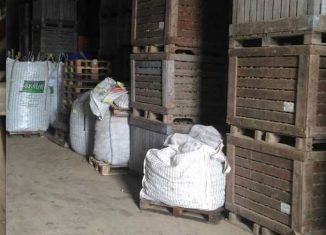 Remtene patate sequestrate Cosenza