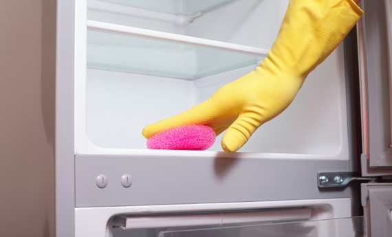 Remtene sanificazione frigorifero