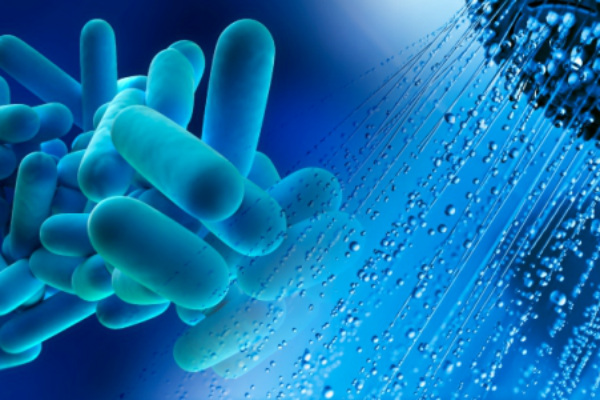 Remtene Legionella doccia