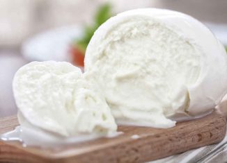 remtene formazione e consulenza mozzarella