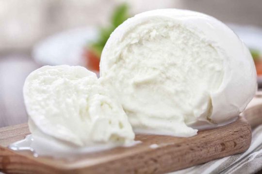 remtene formazione e consulenza mozzarella