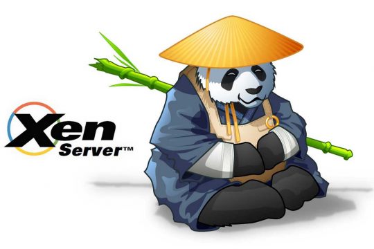 scs xen server